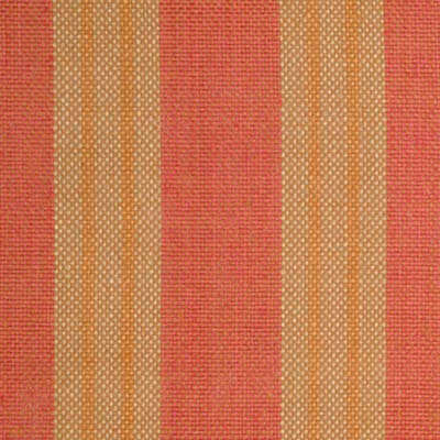 Funtime Coral Decorator Fabric by Stanford Furniture, Upholstery, Drapery, Home Accent, Outdoor, Standford,  Savvy Swatch