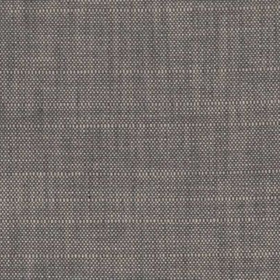 3.8 or 4.1 Yards of Perennials In the Rough Pumice Rose Tarlow Indoor/ Outdoor Fabric