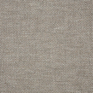 Sunbrella® 42102-0004 Nurture Shale 54" Upholstery Fabric
