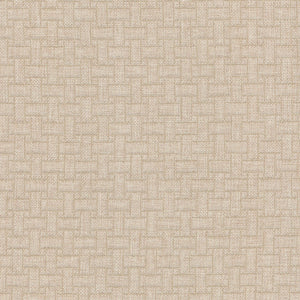 3.6 or 5.8 Yards of Pk Lifestyles Line by Line Sahara Decorator Fabric