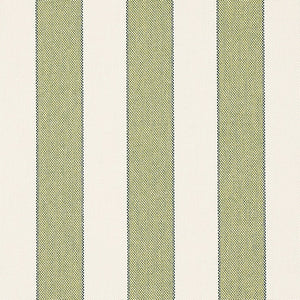 Scumacher Blumont Stripe Green Indoor/Outdoor Fabric