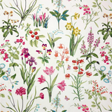P Kaufmann Botanica Multi Decorator Fabric - Savvy Swatch
