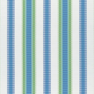 2.6 Yards of Thibaut Samba Stripe Royal Blue and Green Inside/Out Fabric