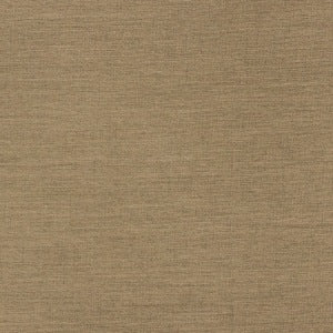 Richloom Fortress Aypace Woven Acrylic Outdoor Fabric in Linen, Upholstery, Drapery, Home Accent, TNT,  Savvy Swatch