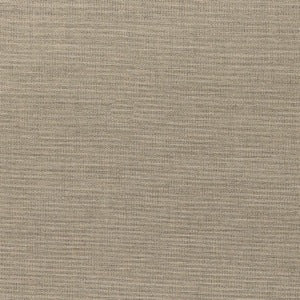 Richloom Fortress Aypace Woven Acrylic Outdoor Fabric in Stone, Upholstery, Drapery, Home Accent, TNT,  Savvy Swatch