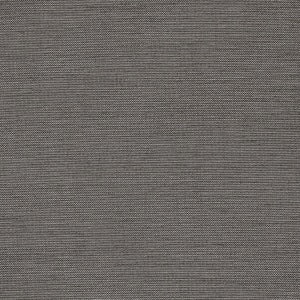 Richloom Fortress Aypace Woven Acrylic Outdoor Fabric in Zinc, Upholstery, Drapery, Home Accent, TNT,  Savvy Swatch