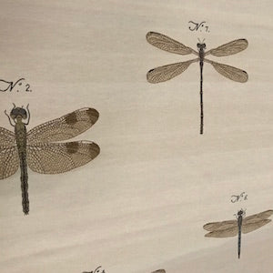 French Dragonfly Upholstery Fabric, Upholstery, Drapery, Home Accent, Premier Textiles,  Savvy Swatch