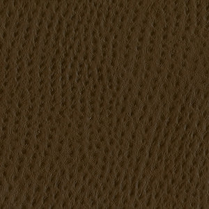 Phoenix 102 Chestnut Upholstery Fabric by J Ennis