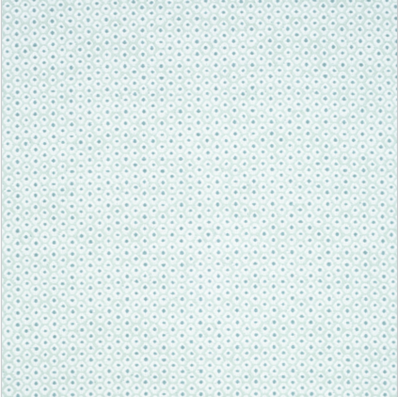 1.9 Yards of Thibaut Pixie Mist and Aqua Inside/Out Fabric