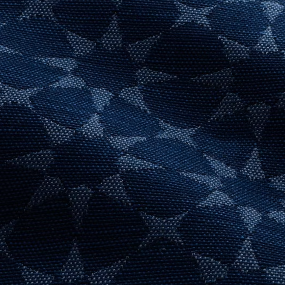 Perennials Star Power Vintage Blue Indoor/Outdoor Decorator Fabric