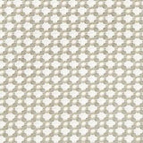 Schumacher Betwixt Stone/White Fabric