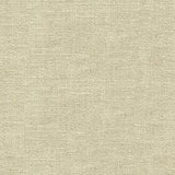 Exuberance 6003 Cream Decorator Fabric by J Ennis, Upholstery, Drapery, Home Accent, J Ennis,  Savvy Swatch