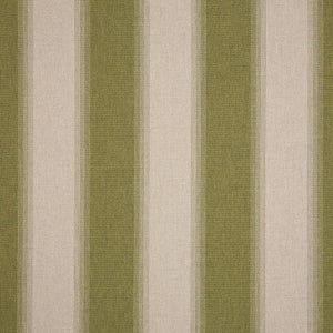Sunbrella Intent Moss 16003-0001 Indoor/Outdoor Fabric