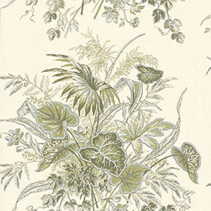 Thibaut Sweet Grass Fabric in Sage on Cream, Upholstery, Drapery, Home Accent, Premier Textiles,  Savvy Swatch