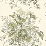Thibaut Sweet Grass Fabric in Sage on Cream, Upholstery, Drapery, Home Accent, Premier Textiles,  Savvy Swatch